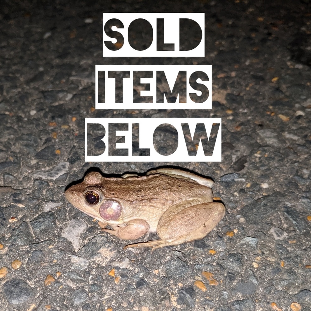 Sold items below 👇